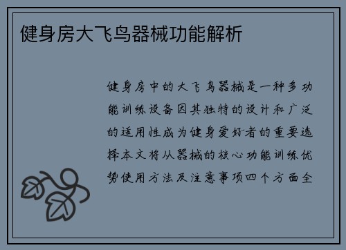 健身房大飞鸟器械功能解析